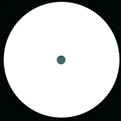 Beastie Boys: Doublecheck Your Head (Max Tannone) 12"