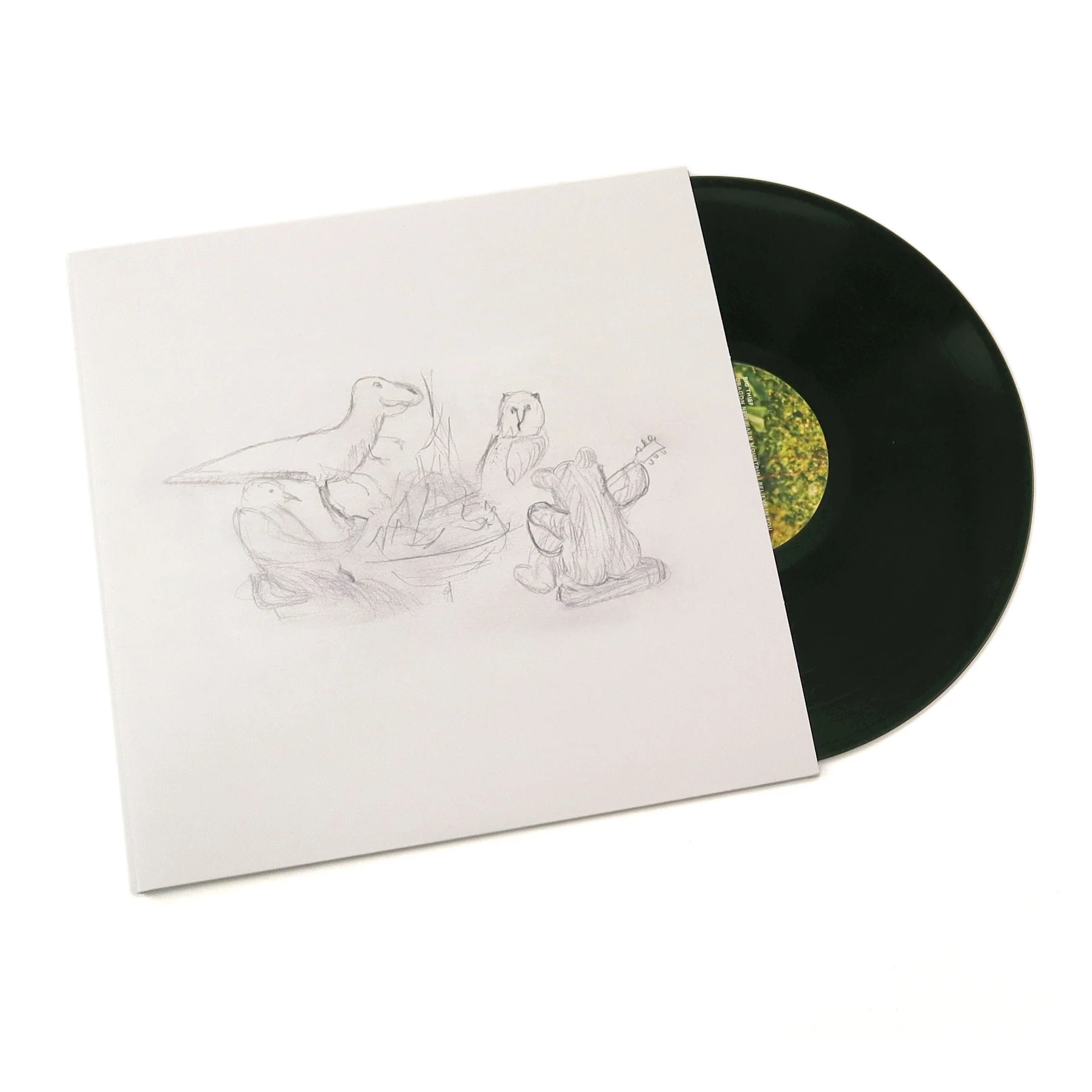 Big Thief: Dragon New Warm Mountain I Believe In You Vinyl 2LP