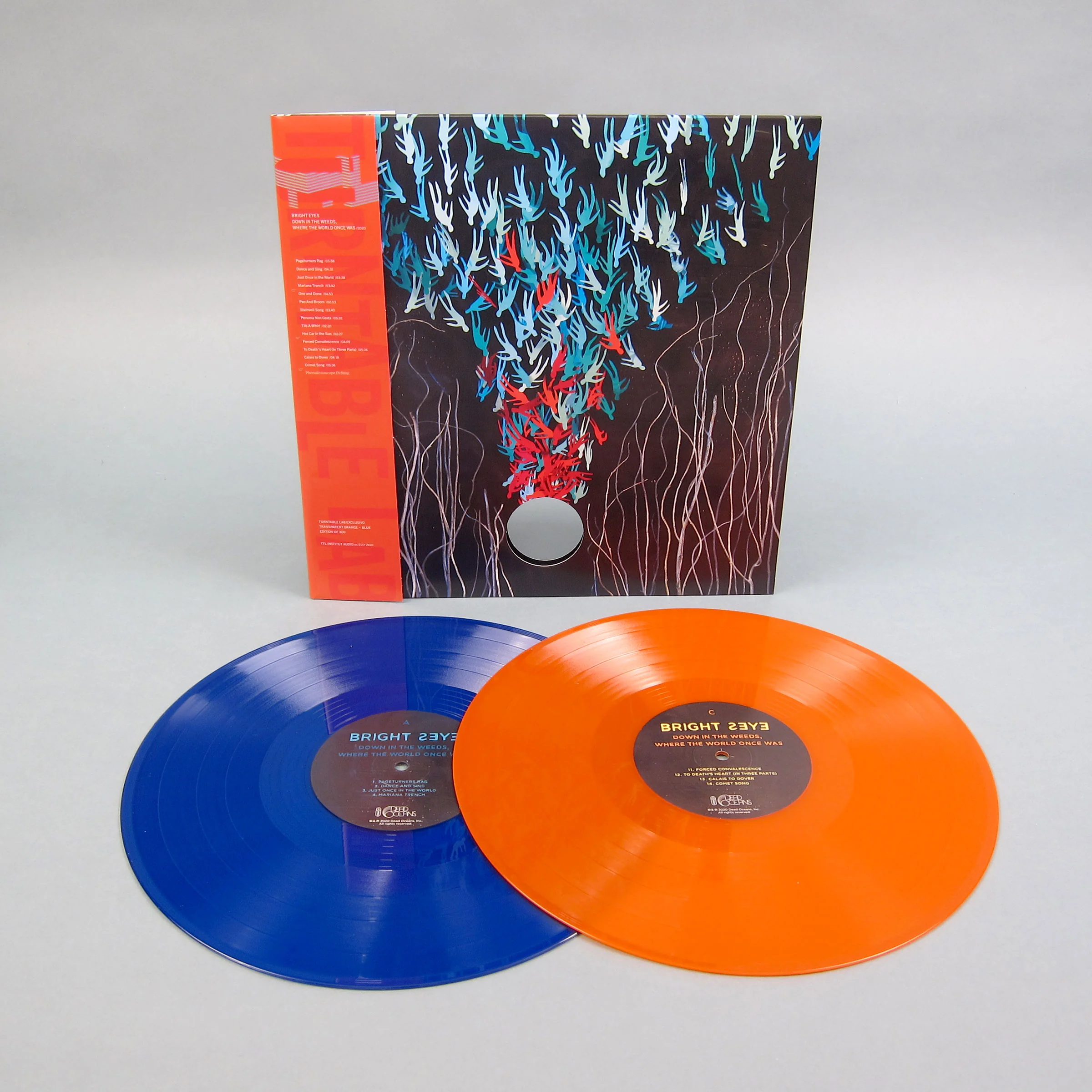 Bright Eyes: Down In The Weeds, Where The World Once Was (Colored Vinyl) Vinyl 2LP - Turntable Lab Exclusive - LIMIT 1 PER CUSTOMER - Image 2