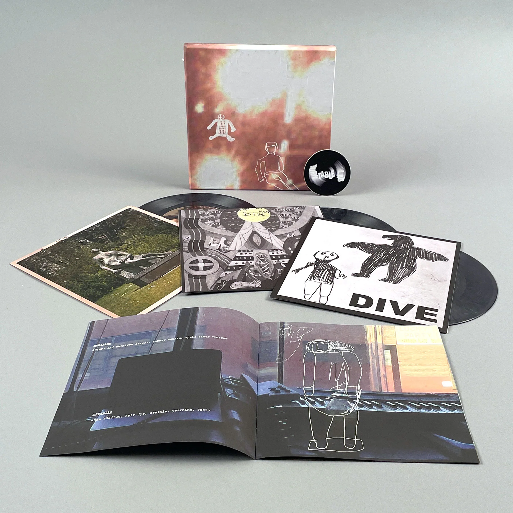 DIIV: Sometime / Human / Geist (Colored Vinyl) Vinyl 3x7" Boxset - Image 5