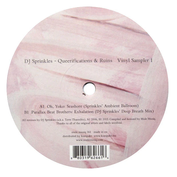 DJ Sprinkles: Queerifications & Ruins Vinyl Sampler 1 12"
