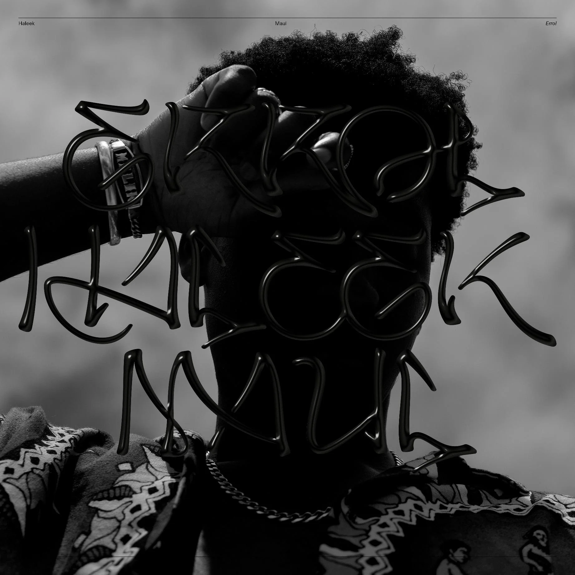 Haleek Maul: Errol Vinyl LP