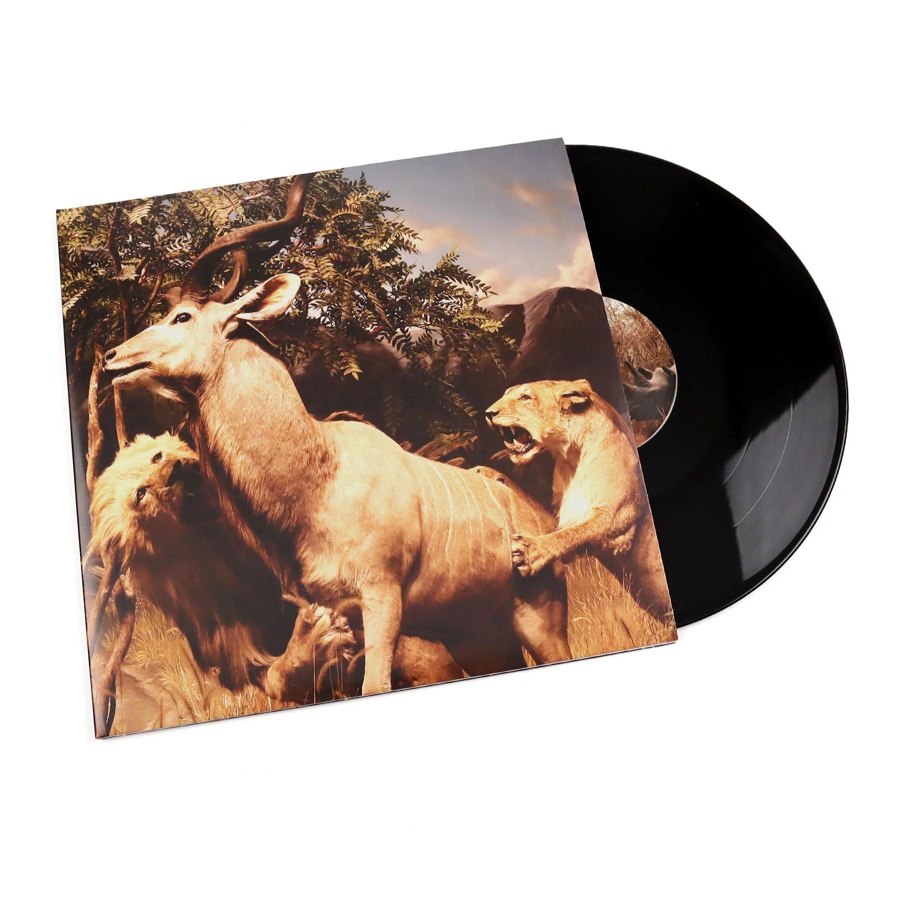 Interpol: Our Love To Admire Vinyl 2LP