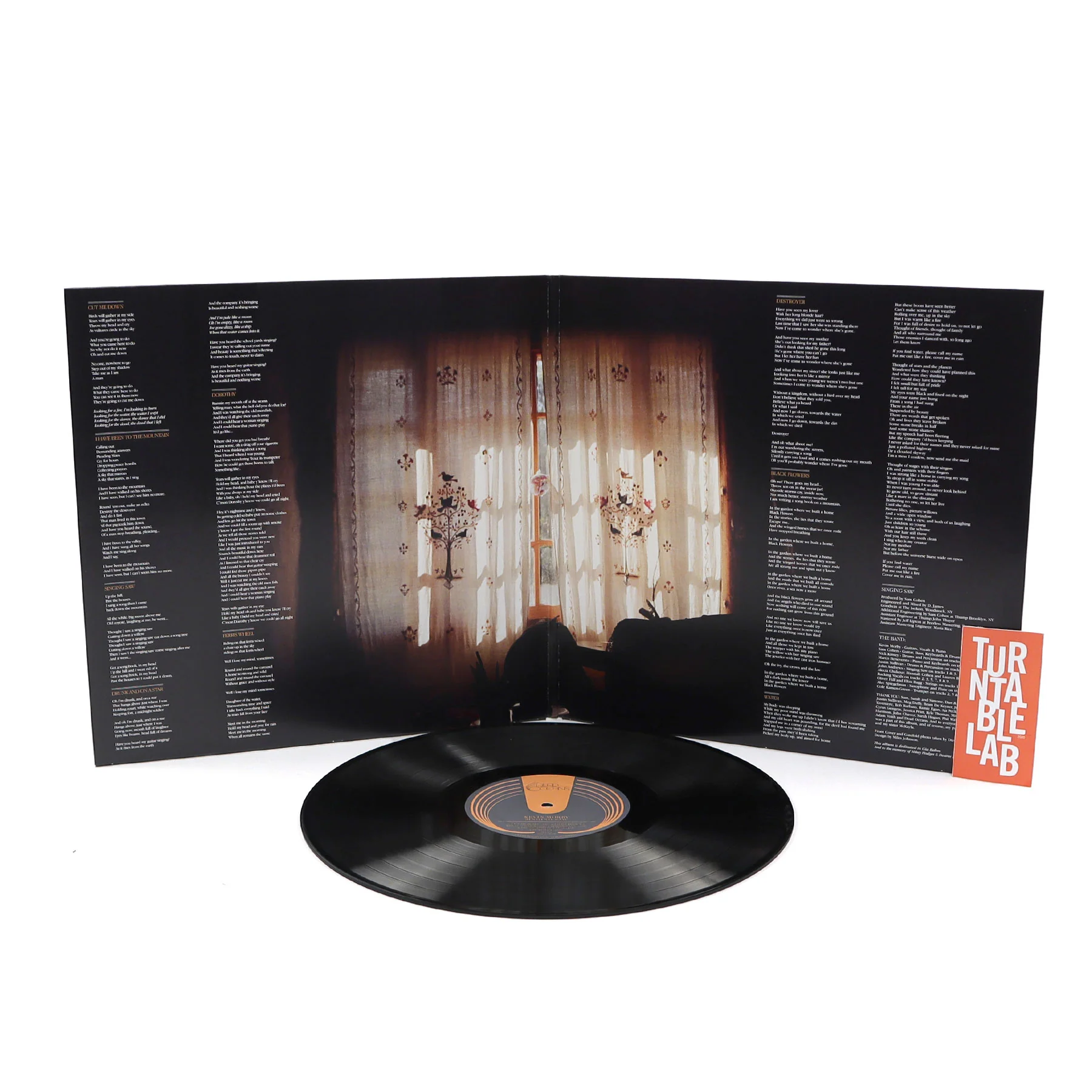 Kevin Morby: Singing Saw Vinyl LP - Image 2
