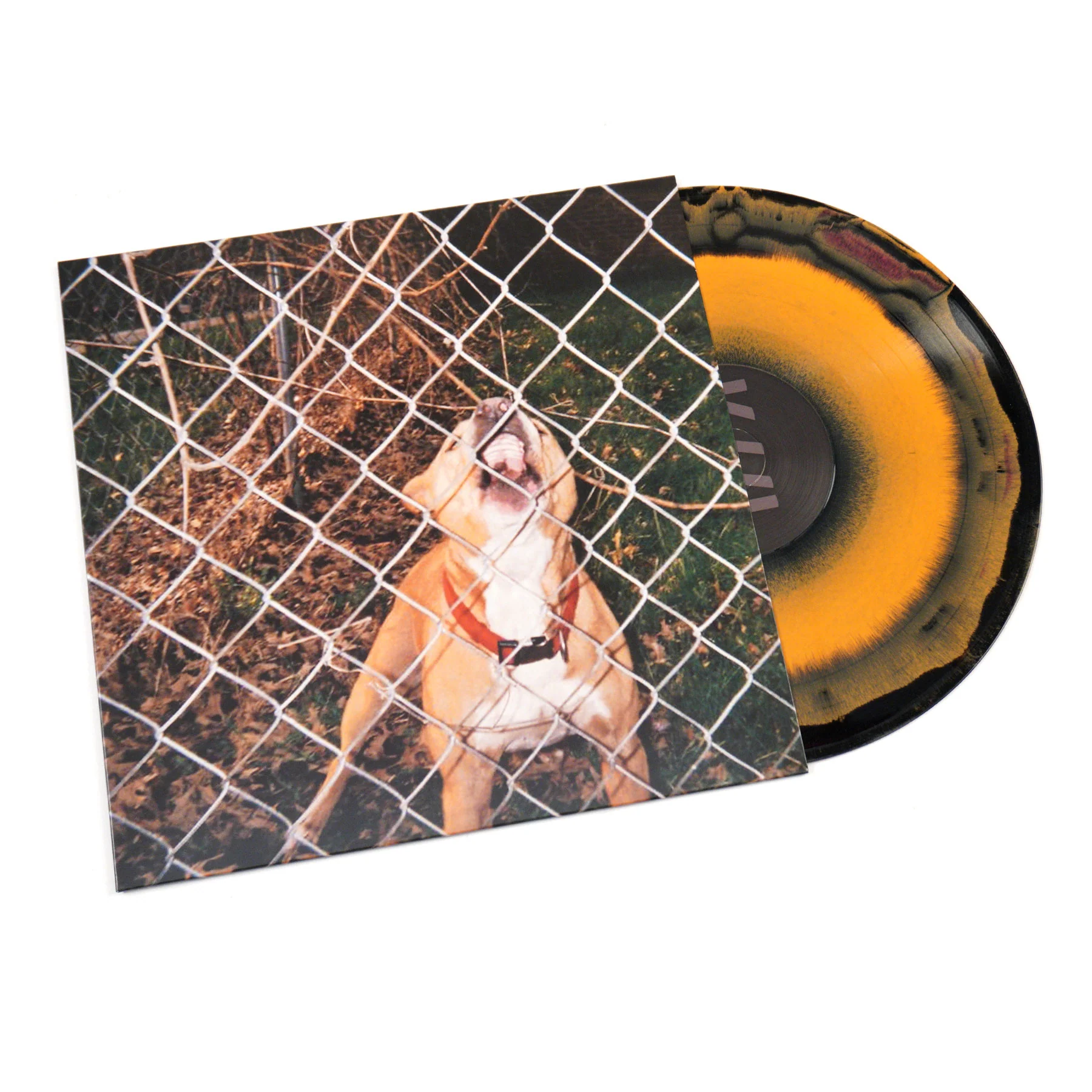 Knocked Loose: Pop Culture (Colored Vinyl) Vinyl LP