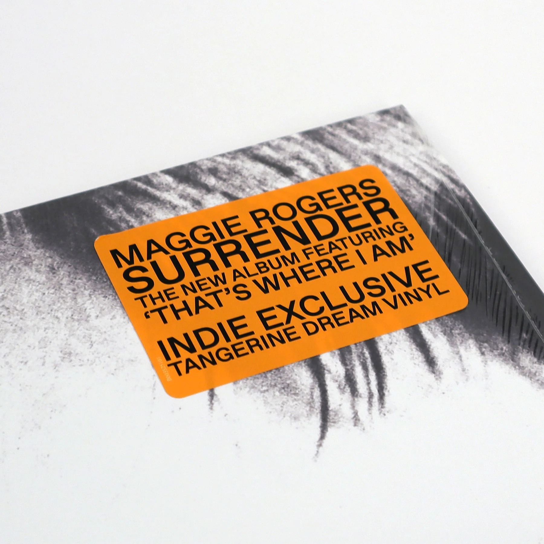 Maggie Rogers: Surrender (Indie Exclusive Colored Vinyl) Vinyl LP - Image 4