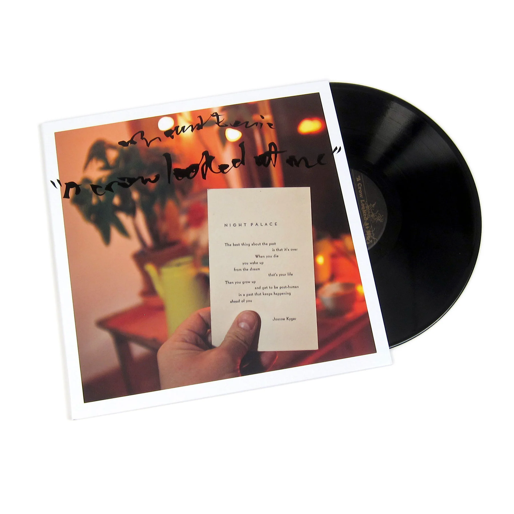 Mount Eerie: A Crow Looked At Me Vinyl LP