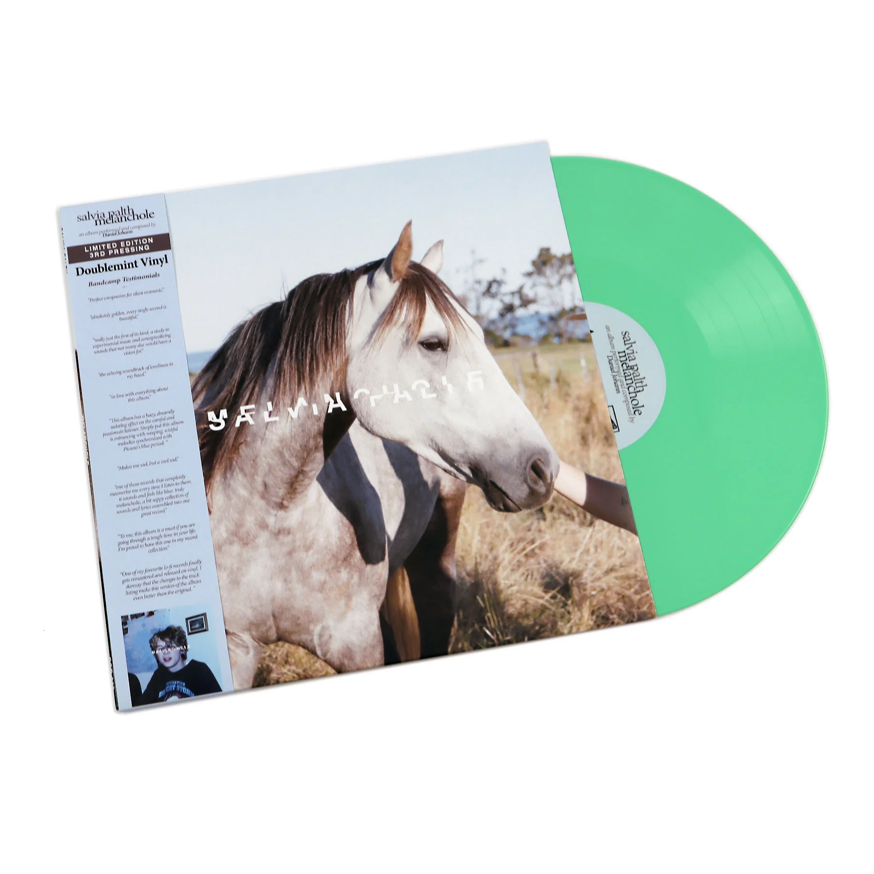 Salvia Palth: Melanchole (Colored Vinyl) Vinyl LP