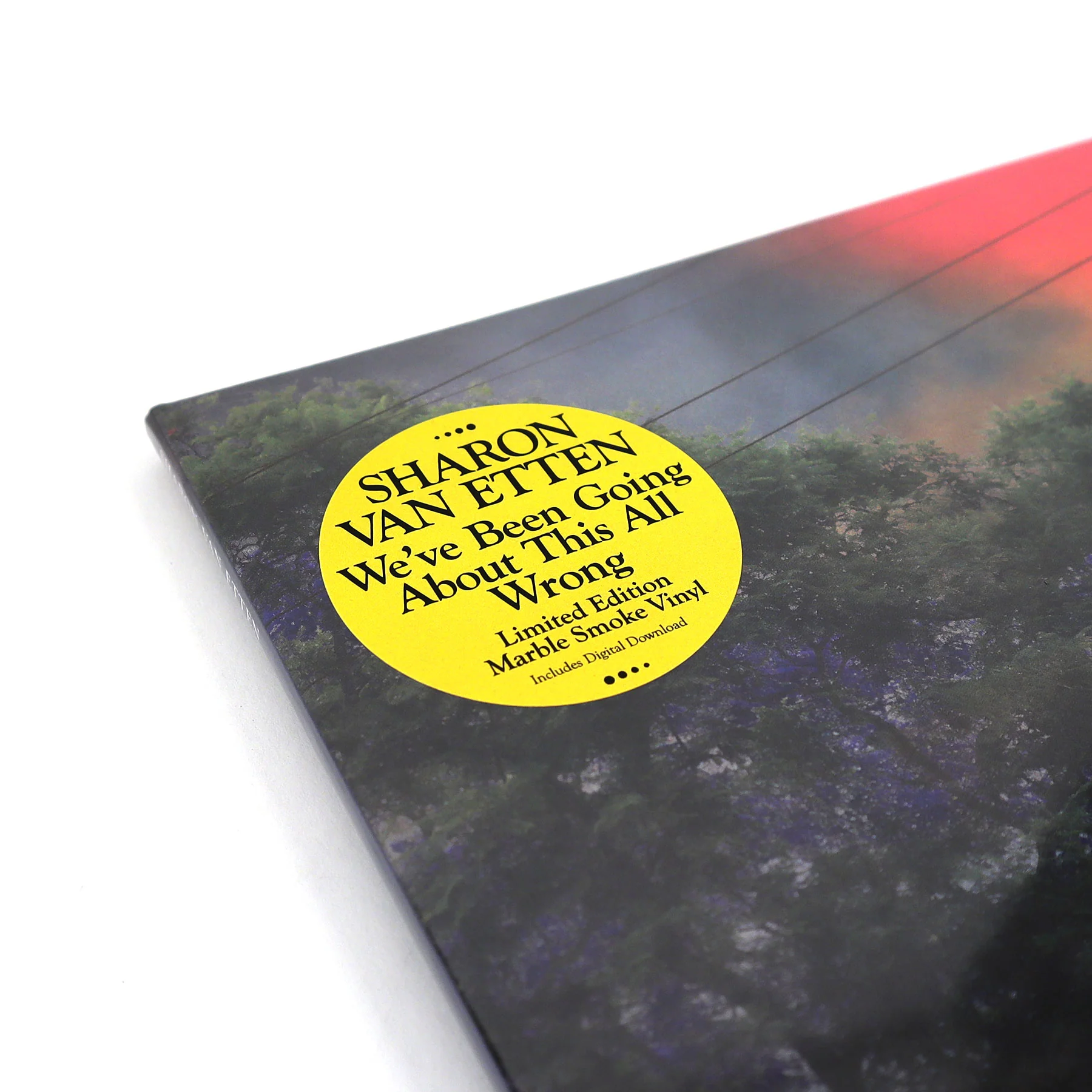 Sharon Van Etten: We've Been Going About This All Wrong (Colored Vinyl) Vinyl LP - Image 4