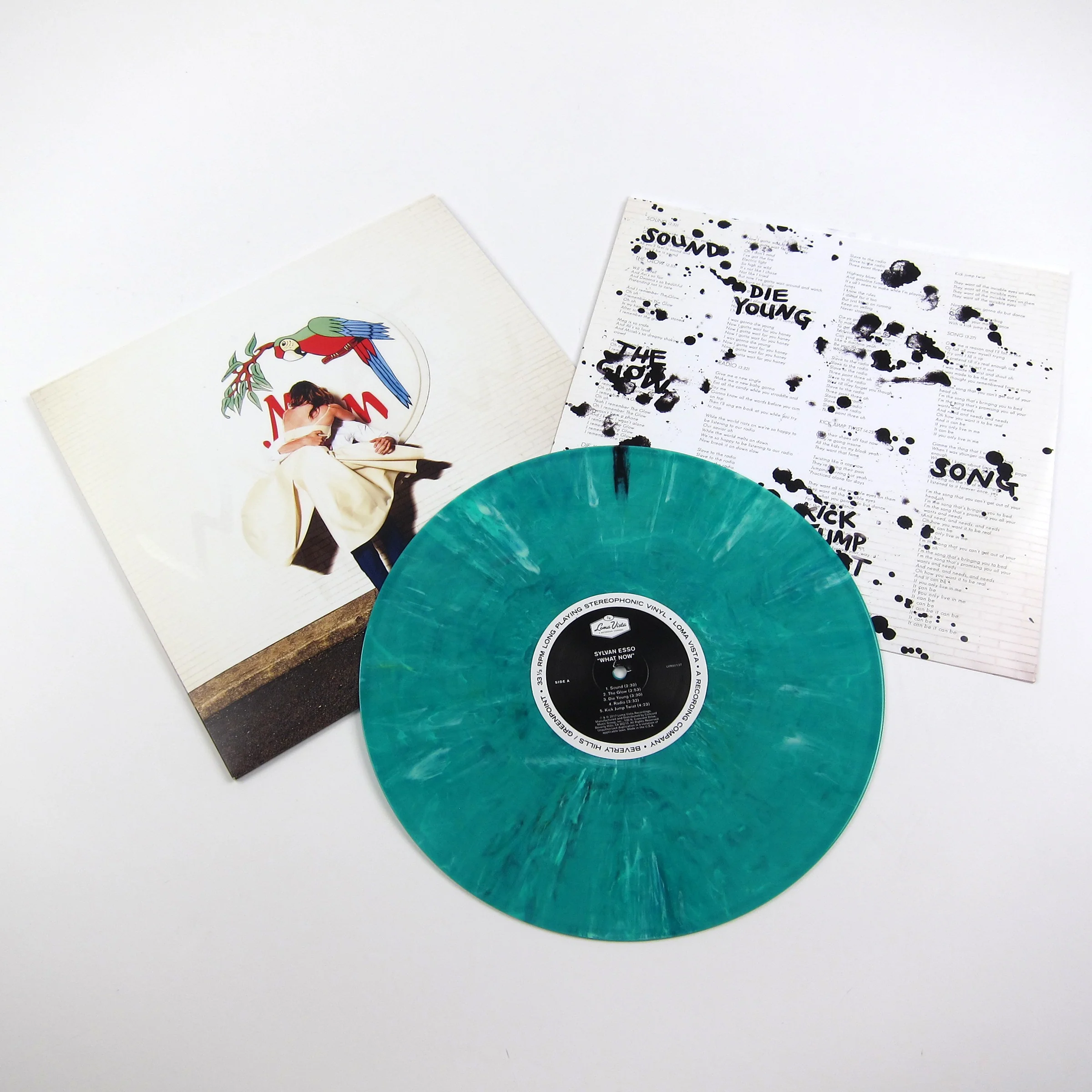 Sylvan Esso: What Now (Turquoise Colored Vinyl) Vinyl LP - Image 2