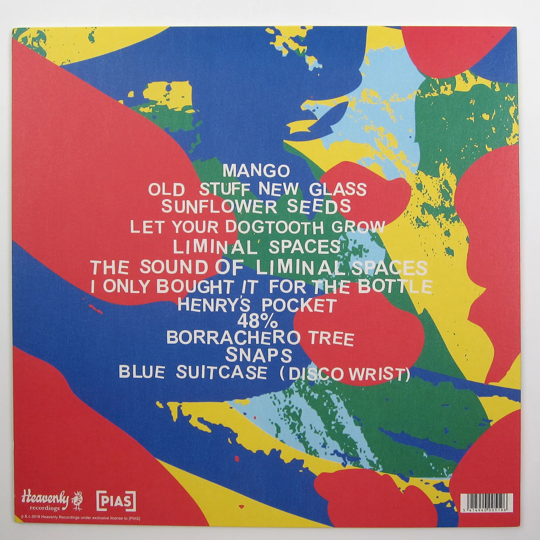 The Orielles: Silver Dollar Moment Vinyl LP - Image 3