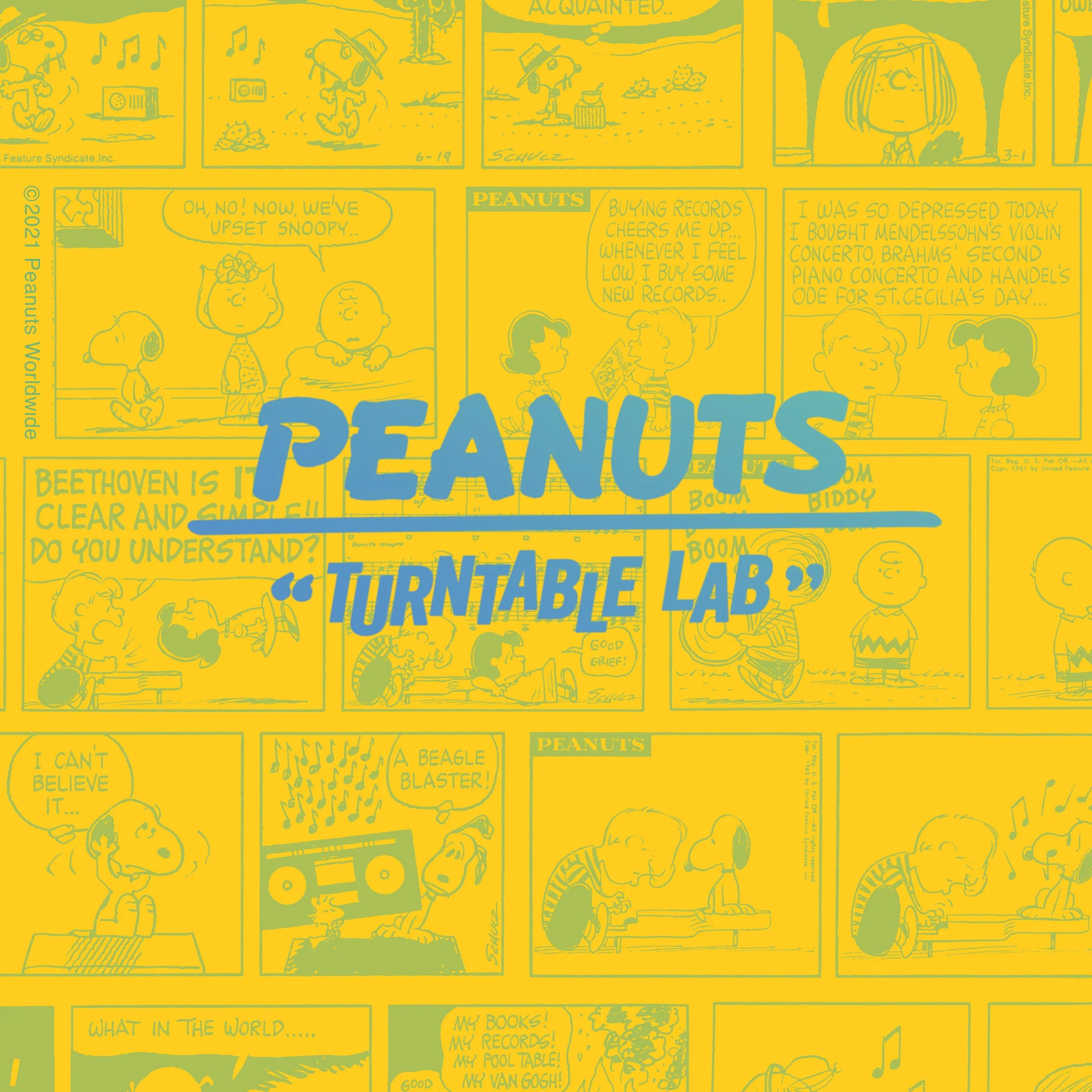 Turntable Lab: Peanuts Sad Song Shirt - Black - Image 3