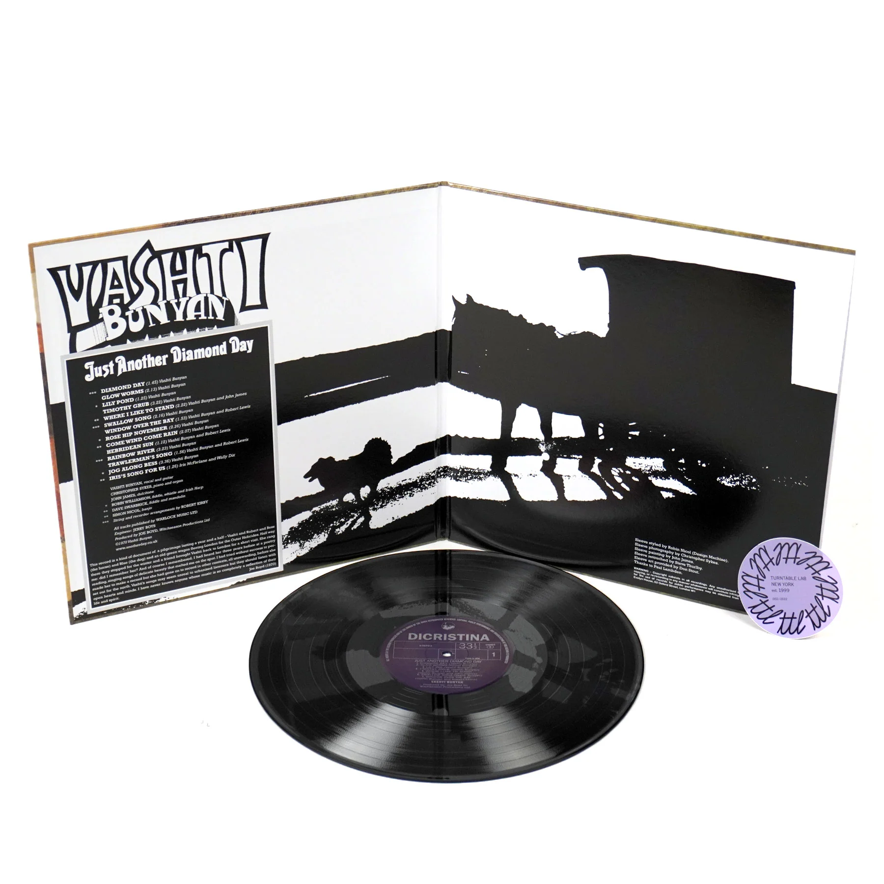Vashti Bunyan: Just Another Diamond Day Vinyl LP - Image 2