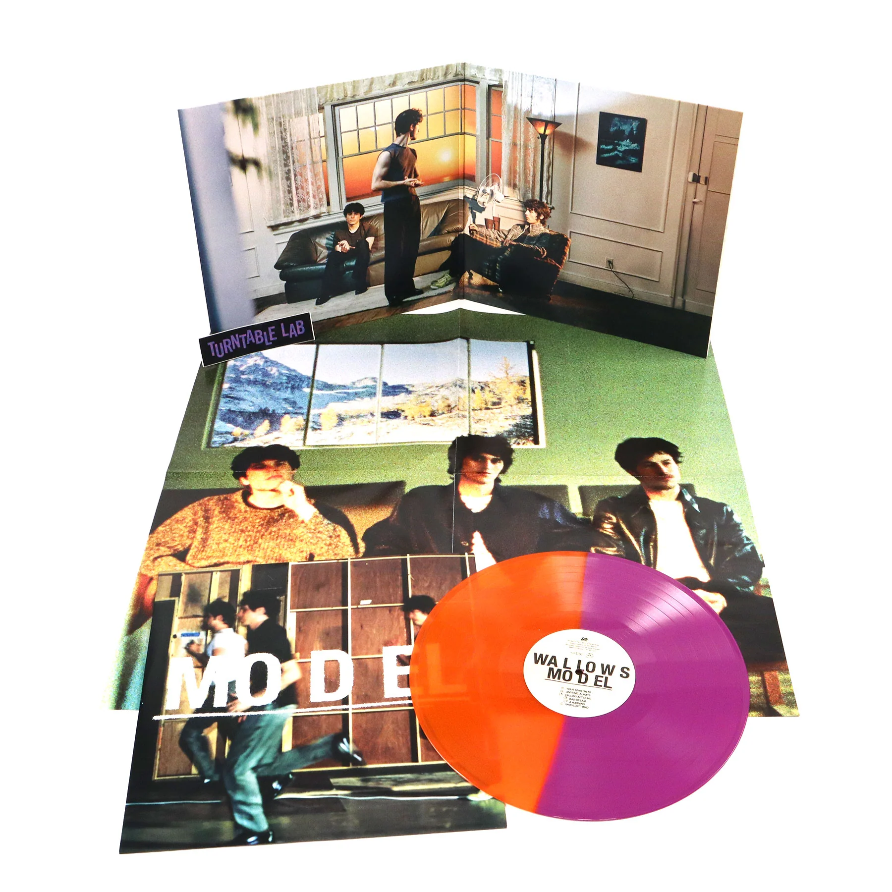 Wallows: Model (Indie Exclusive Colored Vinyl) Vinyl LP - Image 2